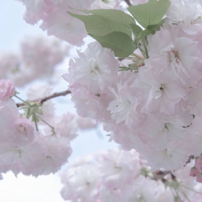 兽设潮流风格设计FurryQQ群